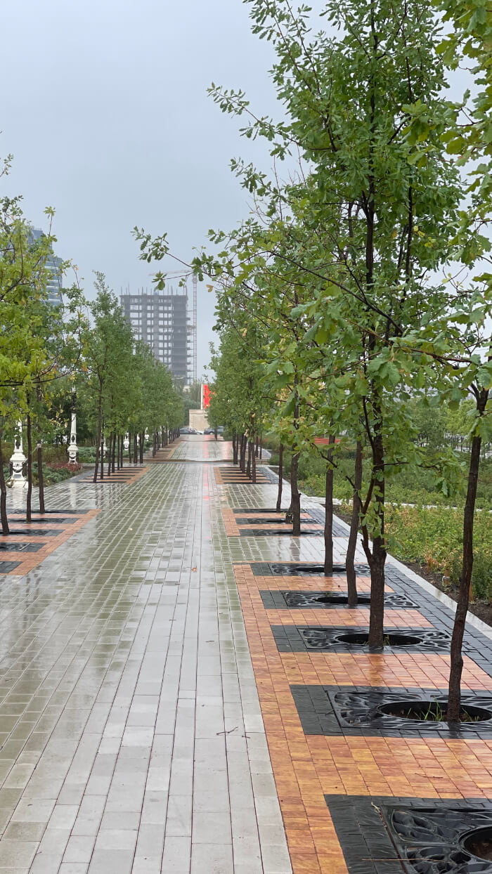 Приствольная решетка для дерева ZKING CRUST 1.2х1.2м Черная в Троицке фото