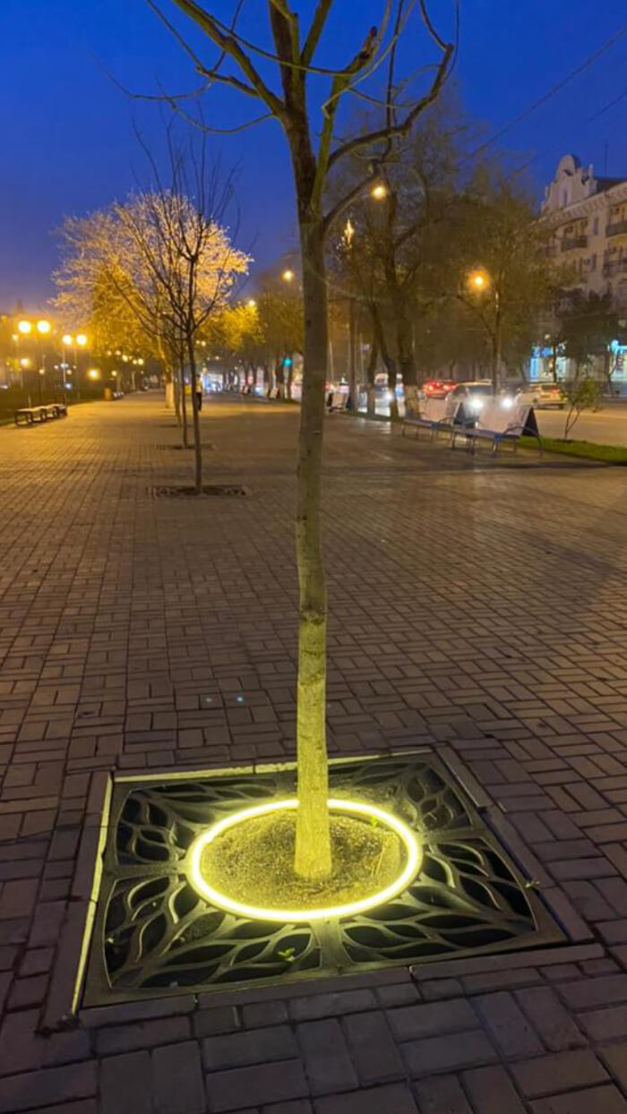 Приствольная решетка для дерева ZKING CRUST 1.2х1.2м Черная в Троицке фото